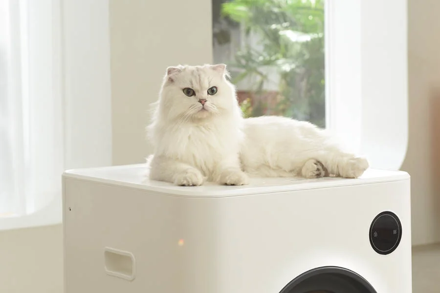 pet safe self cleaning litter box